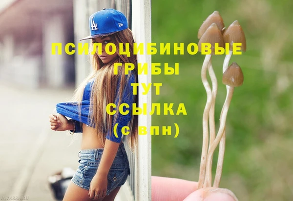 PSILOCYBIN Бугульма